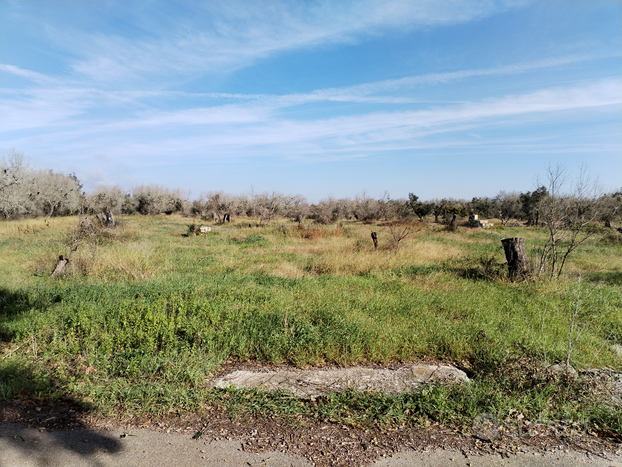 Terreno agricolo miggiano paduli