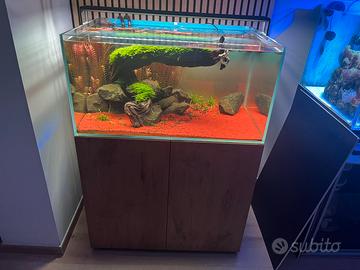 Acquario