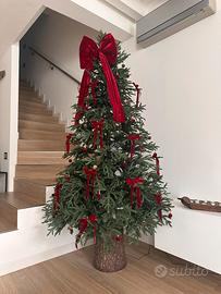 Albero di natale