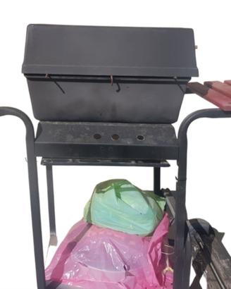 barbecue a carbonella professionale