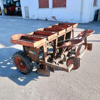 pianta aglio a 3 file marca Soldi