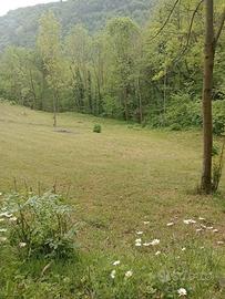 Terreno in collina