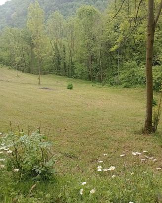 Terreno in collina