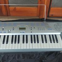 tastiera casio ctk230