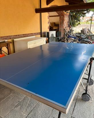Ping pong usato