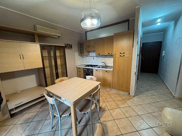 Arredato con mobili moderni