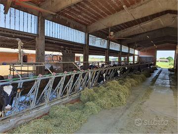 AZIENDA AGRICOLA - SCANDIANO