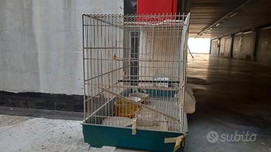 voliera per uccelli 