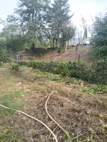 Terreno agricolo con acqua e 25 piante di ulivo