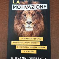 Giovanni Speranza, La Motivazione