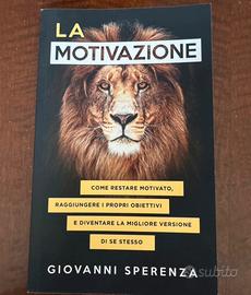 Giovanni Speranza, La Motivazione