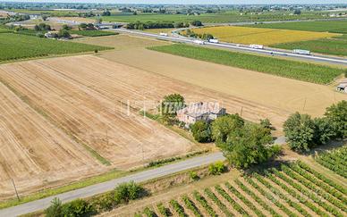 Terreno agricolo seminativo e vigneto