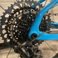 Santa cruz higball CC