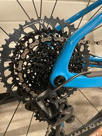 Santa cruz higball CC