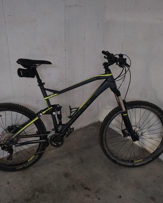mountain bike bulls wild cup 3