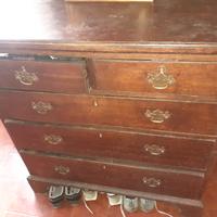 Cassettiera in rovere primi 800 