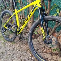 MTB e Bici da corsa 