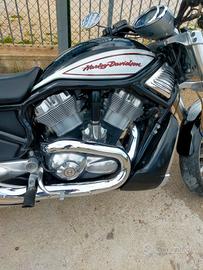 HARLEY DAVIDSON V ROD