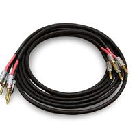 Coppia cavi di potenza 2,5m CUSTOM 4 mm2 HIFI