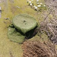 Zavorre 50 kg in cemento  tensostruttura tendone