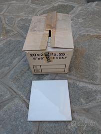 Piastrelle Candia Bianche 20x20