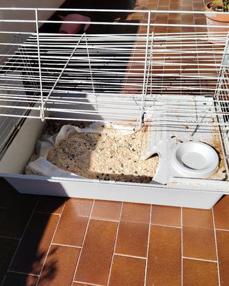 Gabbia per criceto o porcellino d'india 