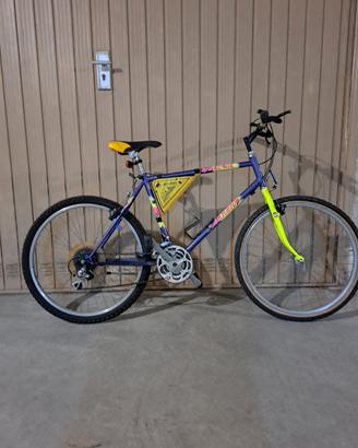 Mountain bike 