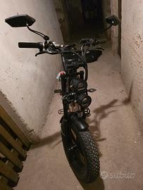 fat bike elettrica