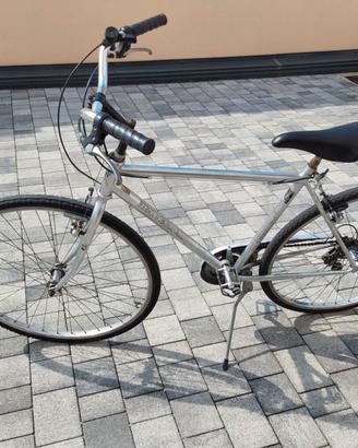 Citybike28 SILVER