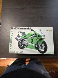 modellismo kawasaki ninja zx-7r superbike protar