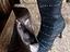 Immagine 3