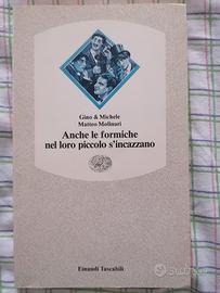 Anche le formiche nel loro piccolo s'incazzano