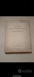 Costantini - Redaelli - Atlante clinico radiologic