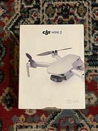 Dji mini 2