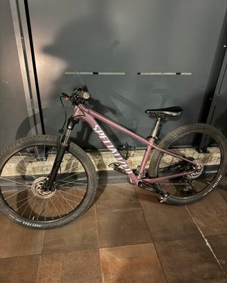 Specialized Rockhopper