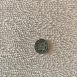 Moneta Svizzera 5 centesimi 1919