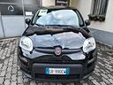 fiat-panda-1-0-firefly-s-s-hybrid-09-2023