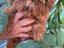 Immagine 2