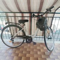 bicicletta donna