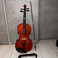 Violino