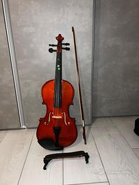 Violino