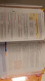 Libro grammatica in buone parole