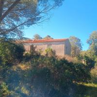 Stazzo gallurese 160 mq. 30 ettari terreno