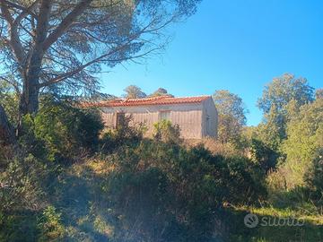 Stazzo gallurese 160 mq. 30 ettari terreno