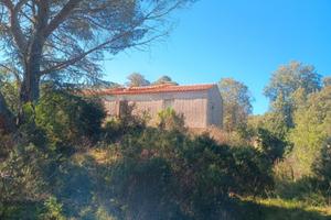 Stazzo gallurese 160 mq. 30 ettari terreno