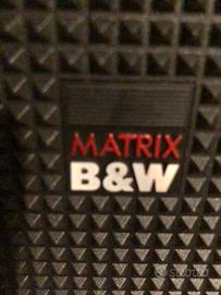 B&W matrix 2