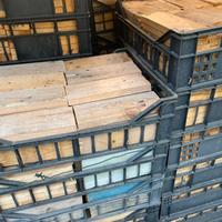 Legna per accendere fuoco