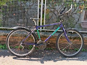 bici inglese  mtb raleigh 24 rapporti  26''