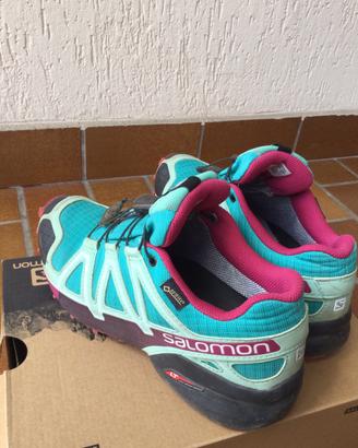 Scarpe salomon speedcross 4gtx