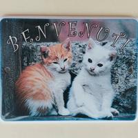 Targhetta in ceramica Toscana fatta a mano 2 gatti